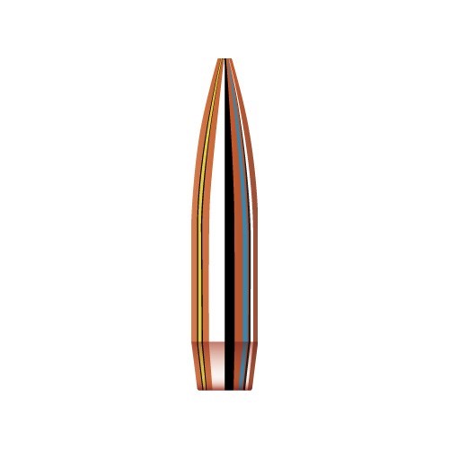MATCH 22 CALIBER (0.224'') HOLLOW POINT BOAT TAIL BULLETS