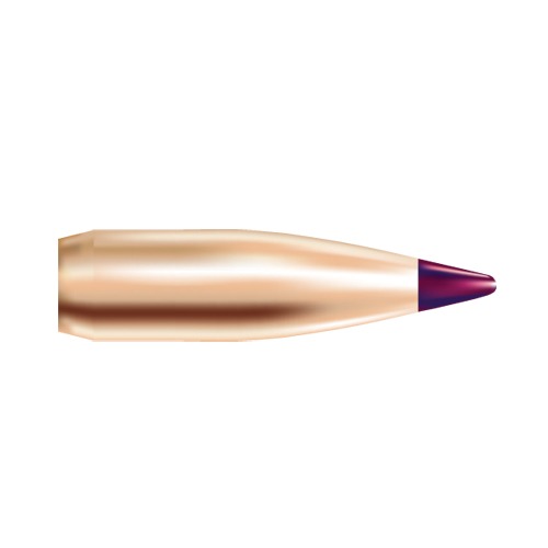 NOSLER BALLISTIC TIP BULLETS