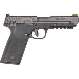 M&P 22 MAGNUM 22 WMR SEMI-AUTO HANDGUN