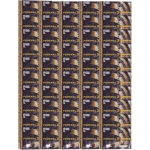 VITAL-SHOK BUCKSHOT 12 GAUGE 3'' AMMO